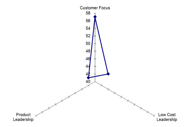 customer focus-1